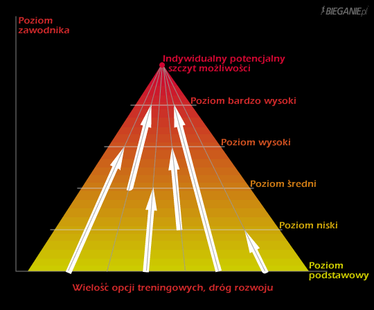 etapy drogi